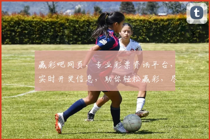 赢彩吧网页，专业彩票资讯平台，实时开奖信息，助你轻松赢彩，尽享快乐生活