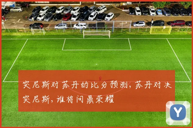 突尼斯对苏丹的比分预测,苏丹对决突尼斯,谁将问鼎荣耀