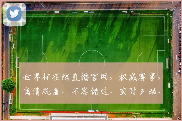 世界杯在线直播官网，权威赛事，高清观看，不容错过，实时互动，精彩不容错过