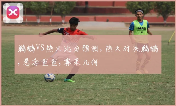 鹈鹕VS热火比分预测,热火对决鹈鹕,悬念重重,赛果几何
