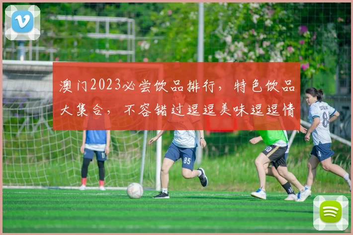澳门2023必尝饮品排行，特色饮品大集合，不容错过逗逗美味逗逗情